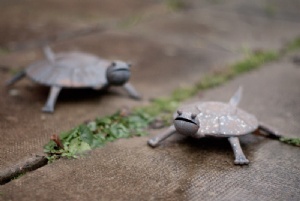 Söta sköldpaddor till trädgården