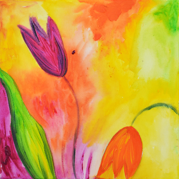 Bildgalleriets omslag 