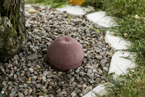 Äpple under äppelträdet - Cement