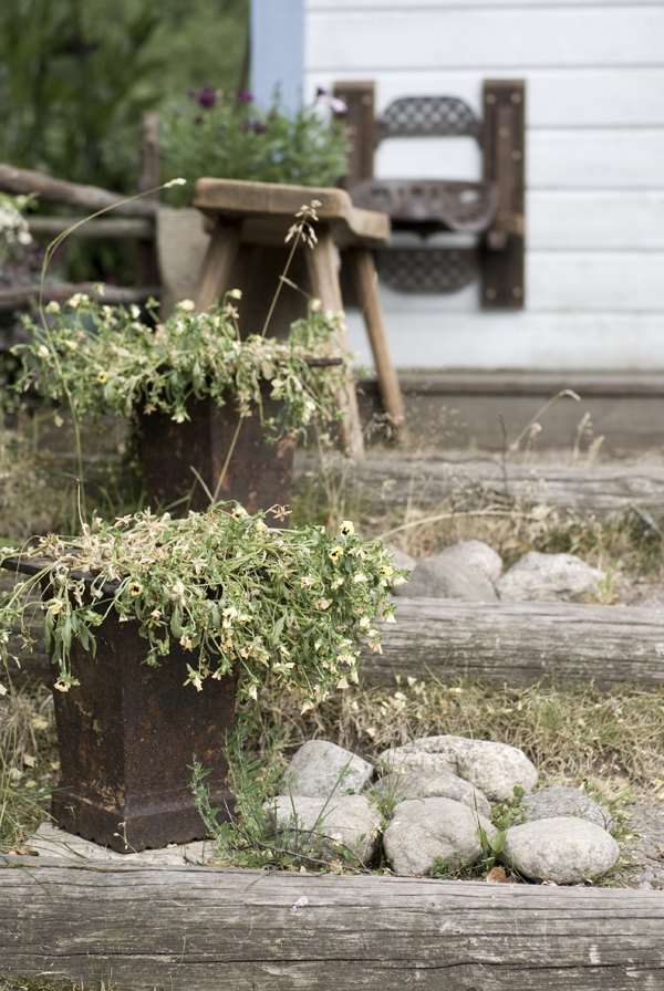 Brevid står de rostiga fynden som idag fungerar som blomkrukor.